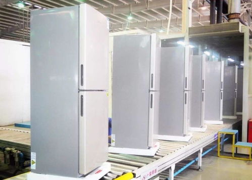 中國老牌家電重出江湖 從停工破產到廚房用具新生